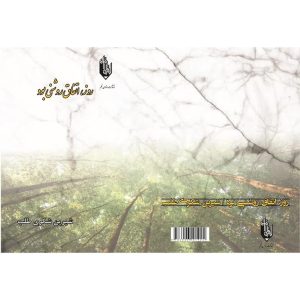 کتاب اصول و مبانی ساخت براکت‌های ارتودنسی به روش قالب‌گیری تزریقی پودر فلزی
